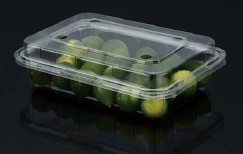 Plastic fruit packaging box STL-300C