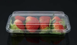 Plastic fruit packaging box STL-400A