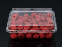 Plastic fruit packaging box STL-400B