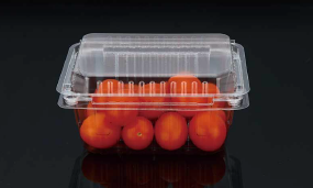 Plastic fruit packaging box STL-400G