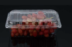 Plastic fruit packaging box HZ-S52