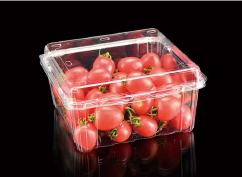 Plastic fruit packaging box HZ-1000G