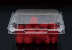 Plastic fruit packaging box HZ-250G