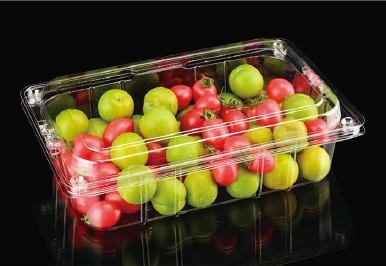 Plastic fruit packaging box HZ-64(H6)