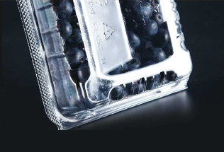 Plastic fruit packaging box HZ125C2