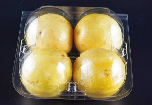 Plastic fruit packaging box HZ-04W