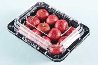 Plastic fruit packaging box HZ-350D