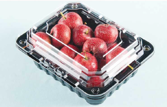 Plastic fruit packaging box HZ-500C1