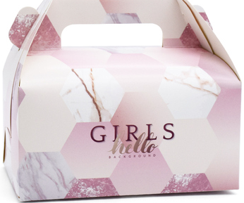 手提莫斯蛋糕盒